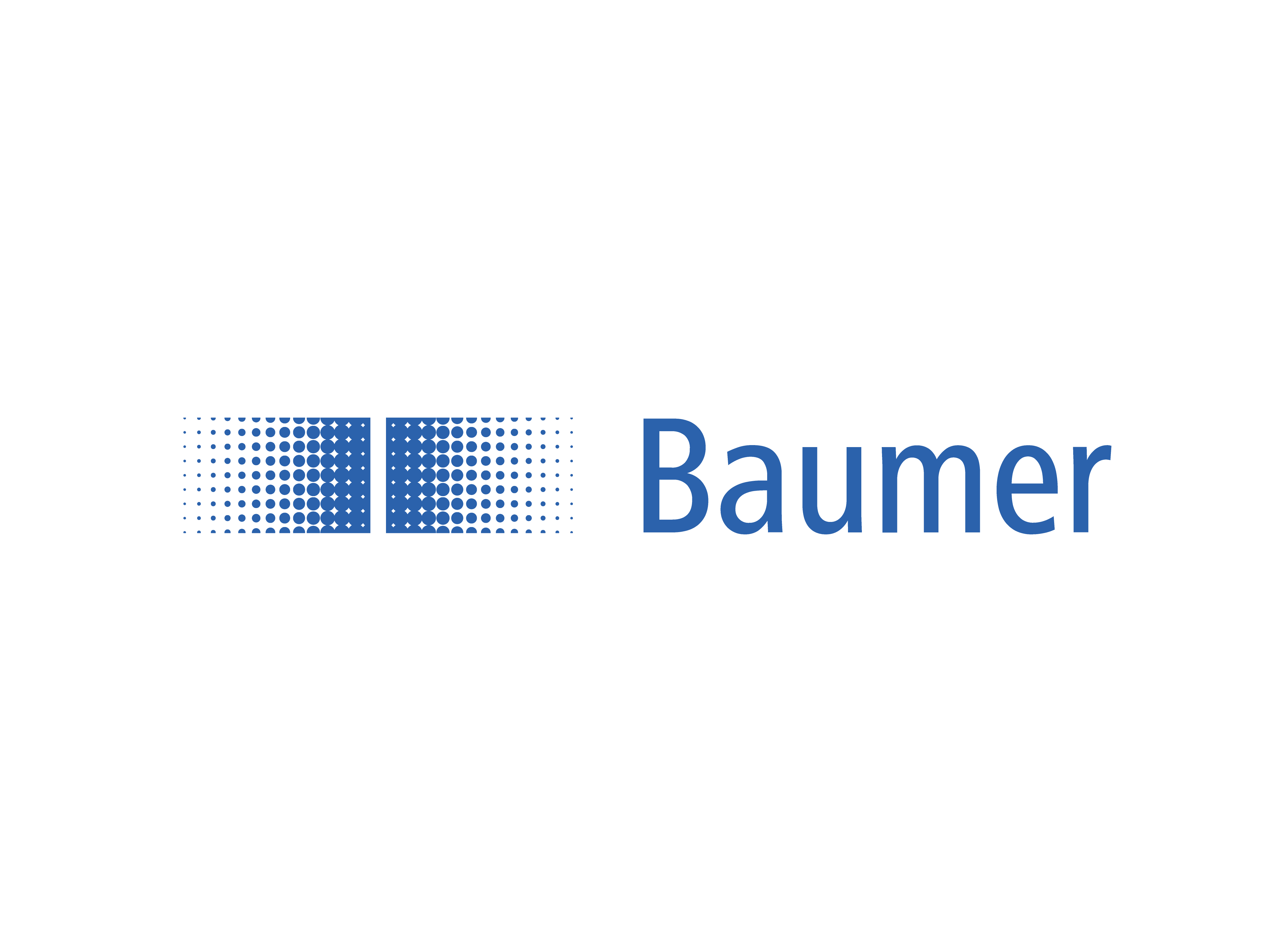 Baumer IVO